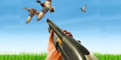 BIRD HUNTING Gun Fire Shooter