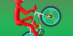 Wheelie Bike New